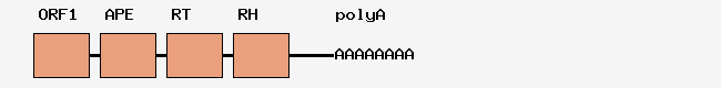 Image created by a PHP script