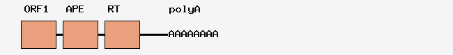 Image created by a PHP script